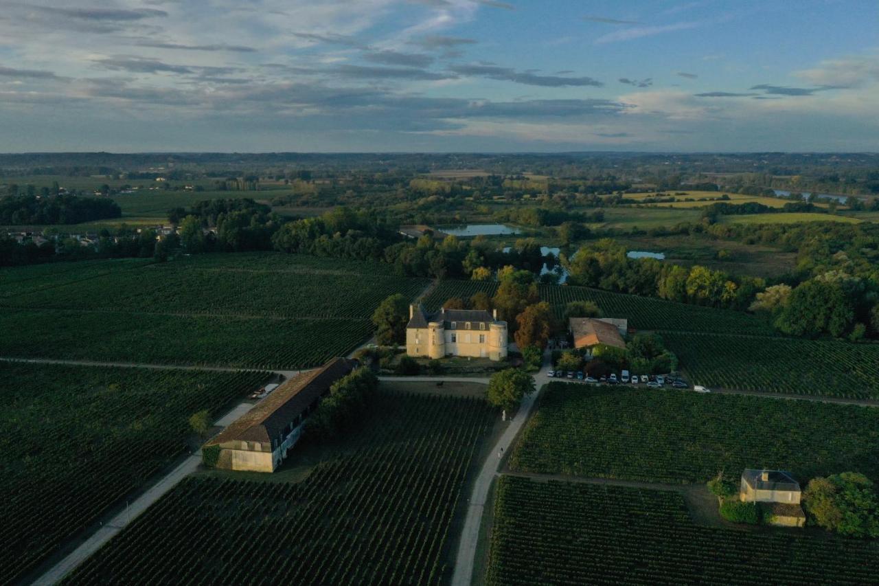 Gite Avec Piscine, Chateau De Lescours, St-Emilion Saint-Sulpice-de-Faleyrens Kültér fotó