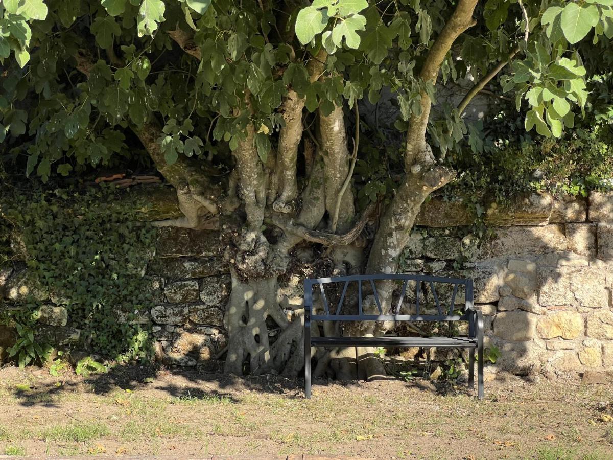Gite Avec Piscine, Chateau De Lescours, St-Emilion Saint-Sulpice-de-Faleyrens Kültér fotó